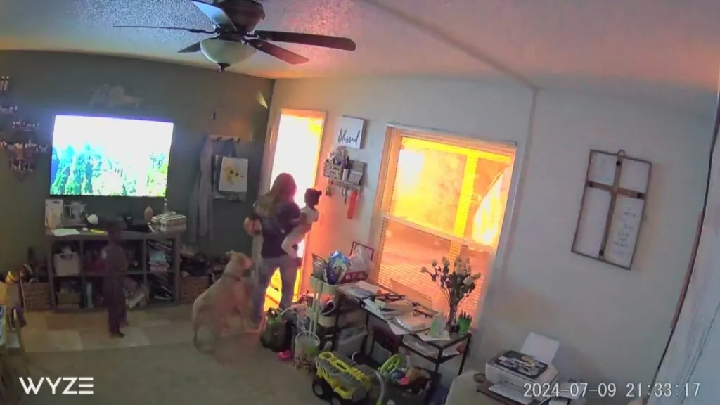 Watch a Missouri teenager save two toddlers and their dog from a fire