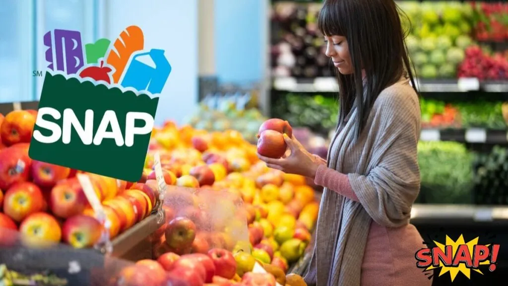 Increase in SNAP food stamps – list of states with the largest increases